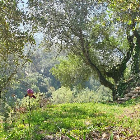 Casa Das Janelinhas - Cottage Near Sintra, Mafra, Ericeira Kültér fotó