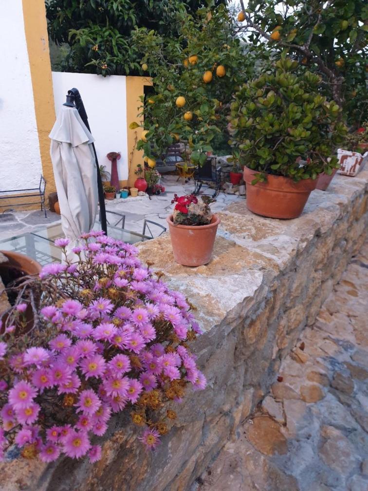 Casa Das Janelinhas - Cottage Near Sintra, Mafra, Ericeira Kültér fotó