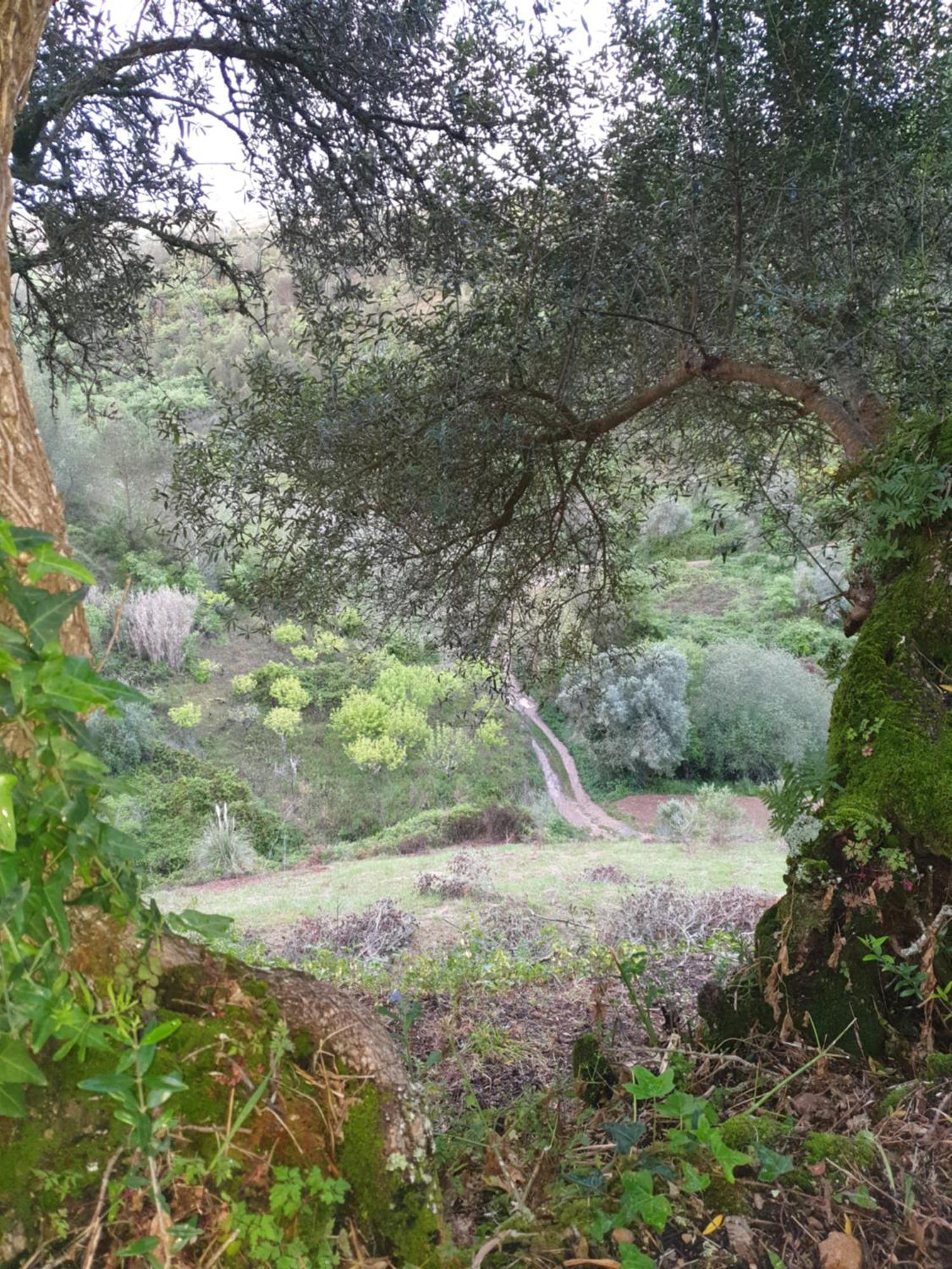 Casa Das Janelinhas - Cottage Near Sintra, Mafra, Ericeira Kültér fotó