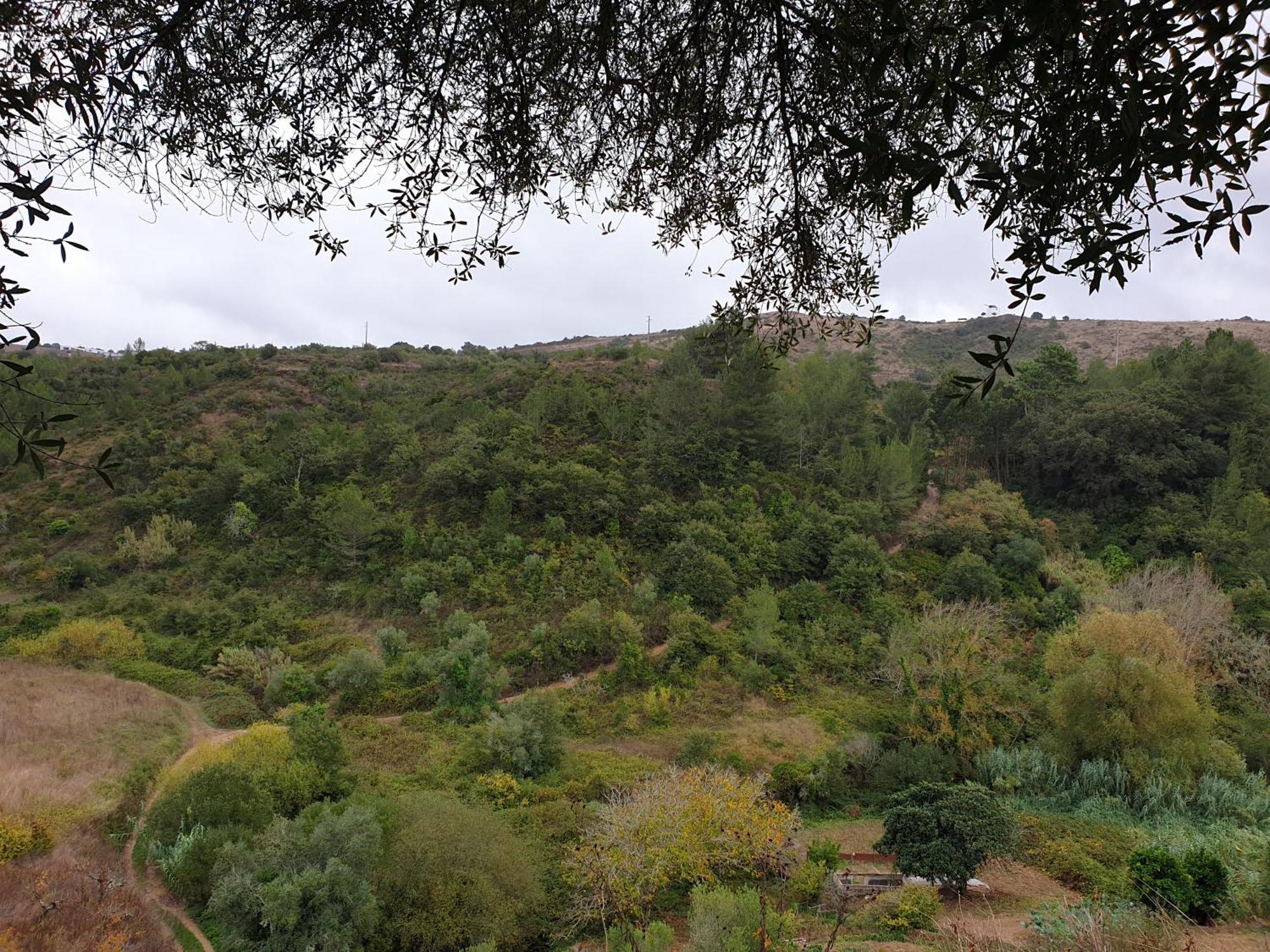 Casa Das Janelinhas - Cottage Near Sintra, Mafra, Ericeira Kültér fotó